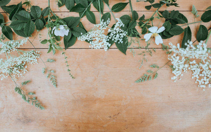 Заставка: unsplash.com Заставка: unsplash.com