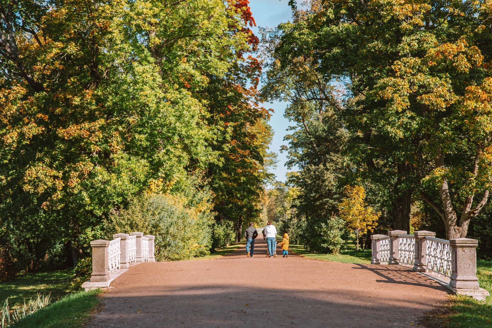 Обновленный царскосельский Александровский парк ждет романтичных любителей прогулок