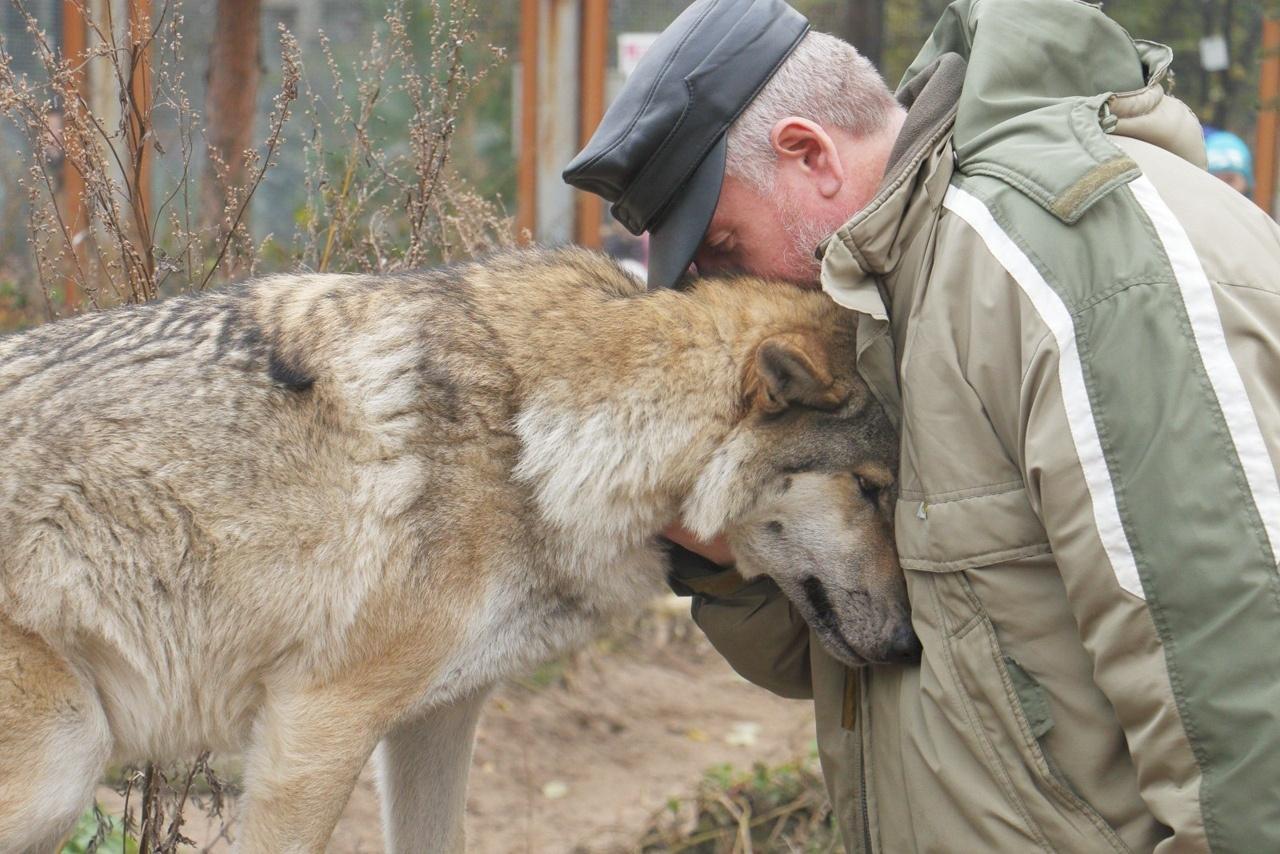 Васильев Д.Ю.