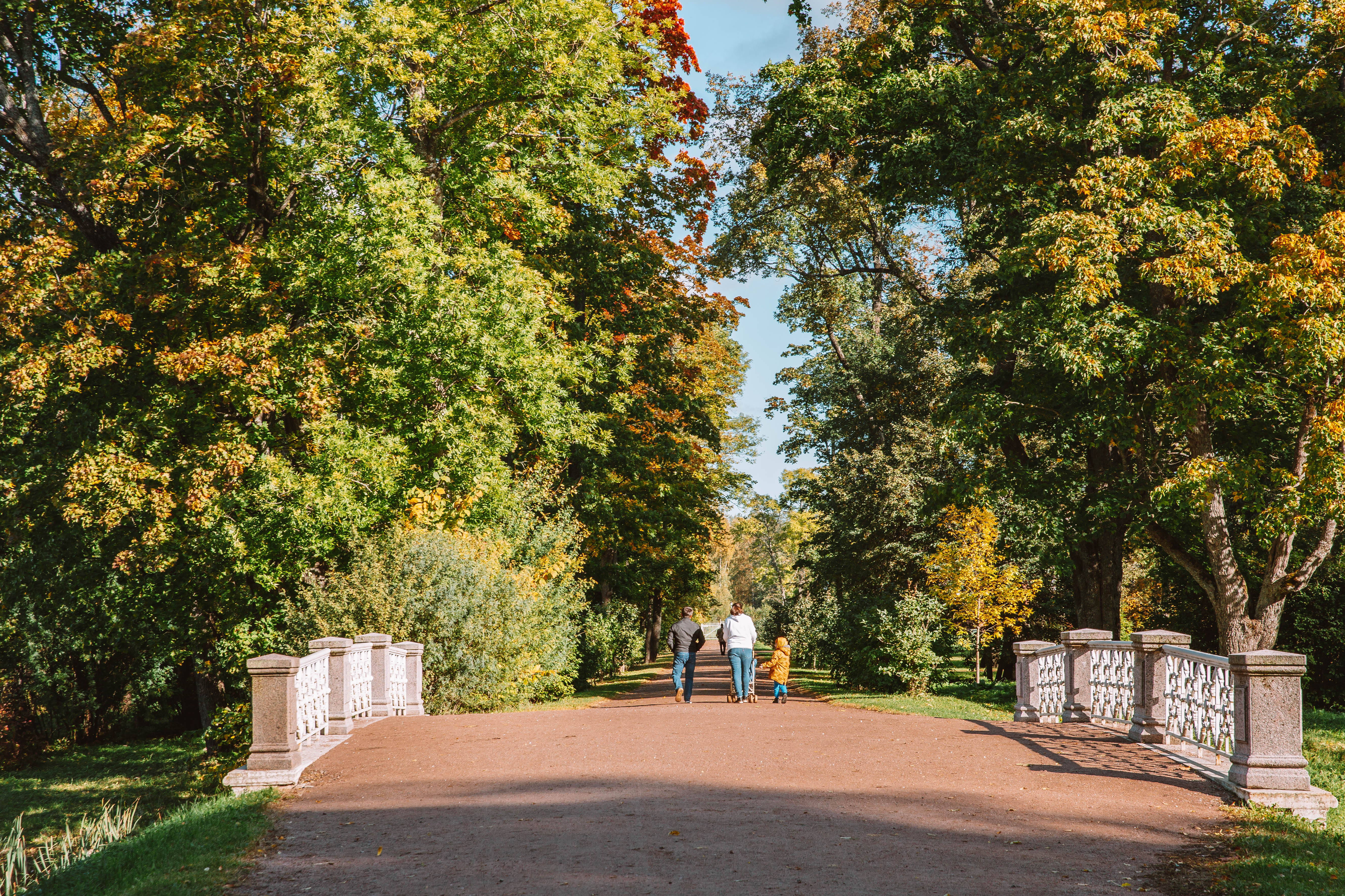Обновленный царскосельский Александровский парк ждет романтичных любителей прогулок2