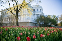 Свидание в Петербурге: куда пойти вдвоем с 17 по 19 мая 2024 года2