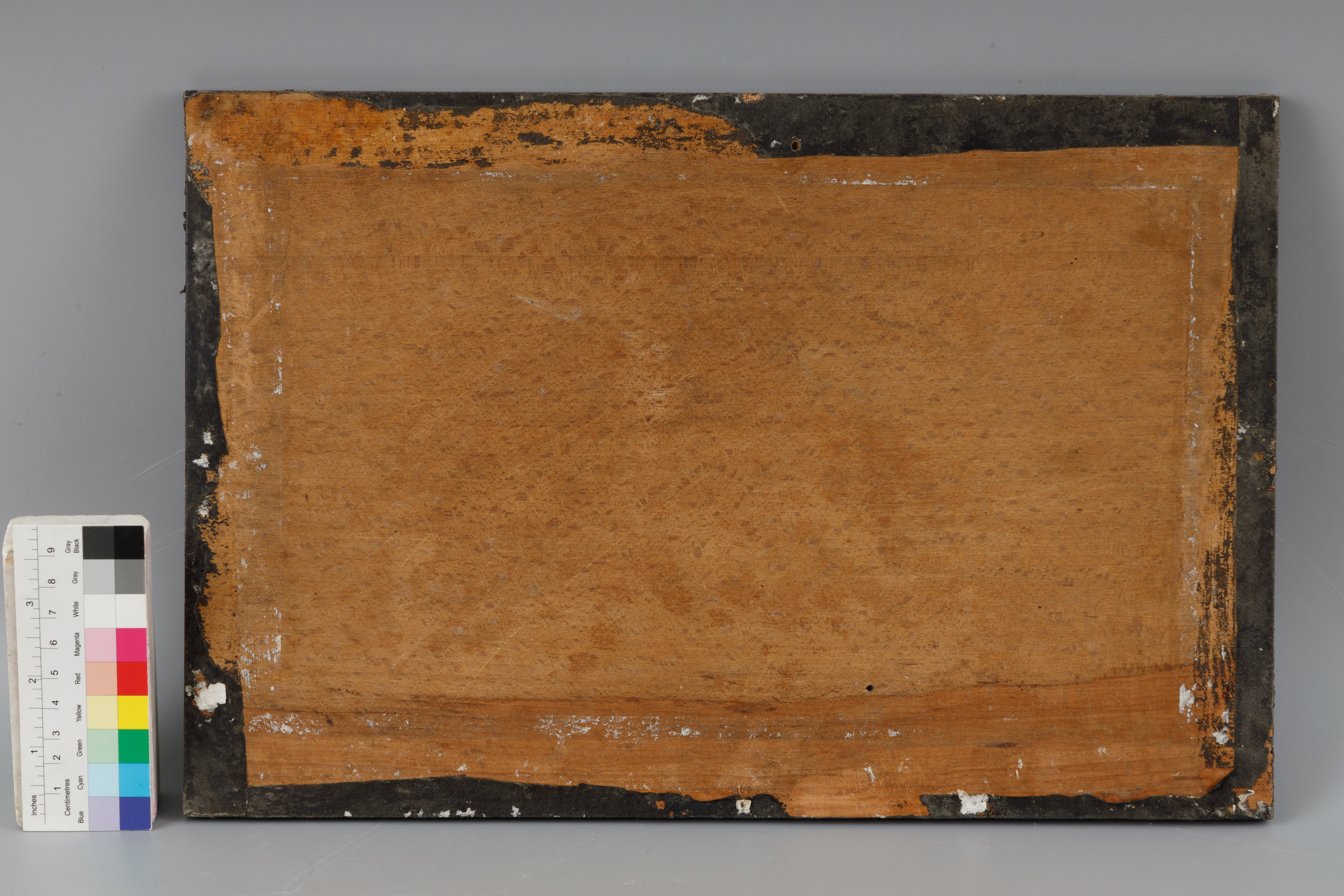 Для реставрации музейных шедевров Павловска применили клей из японских водорослей фунори5