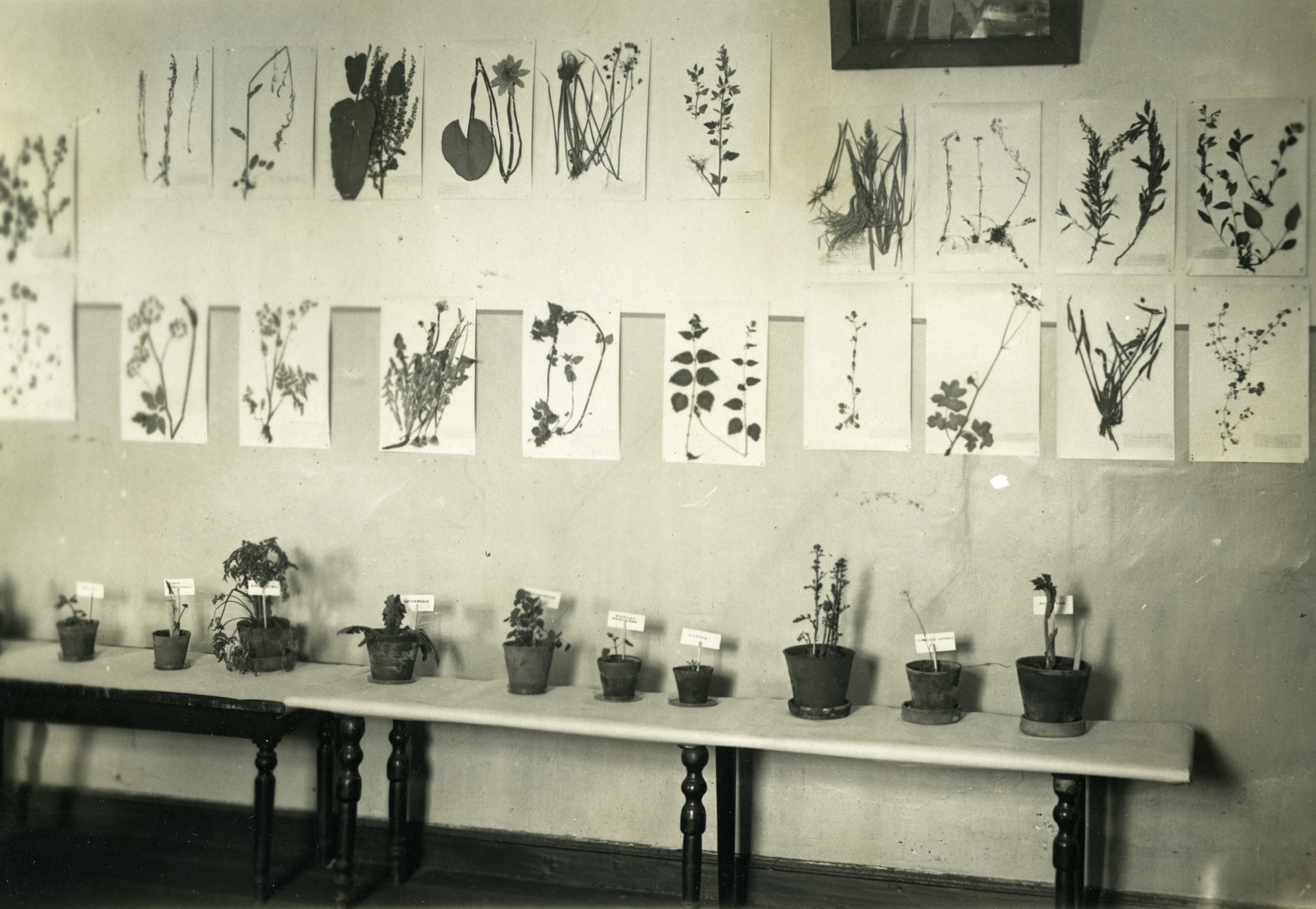 «Блокадная повесть Ботанического сада» расскажет о подвиге садоводов8