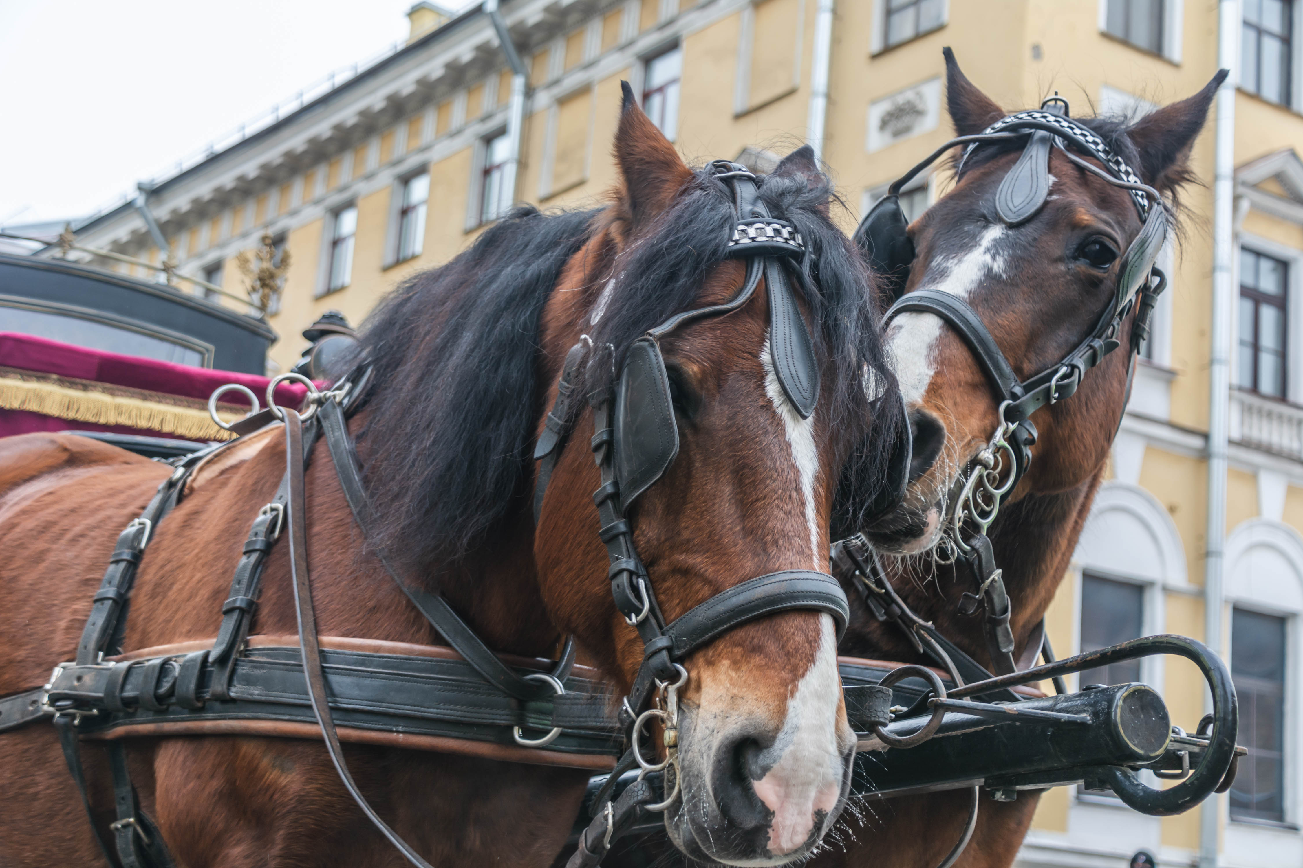 В Петербурге снимают художественный фильм о декабристах14