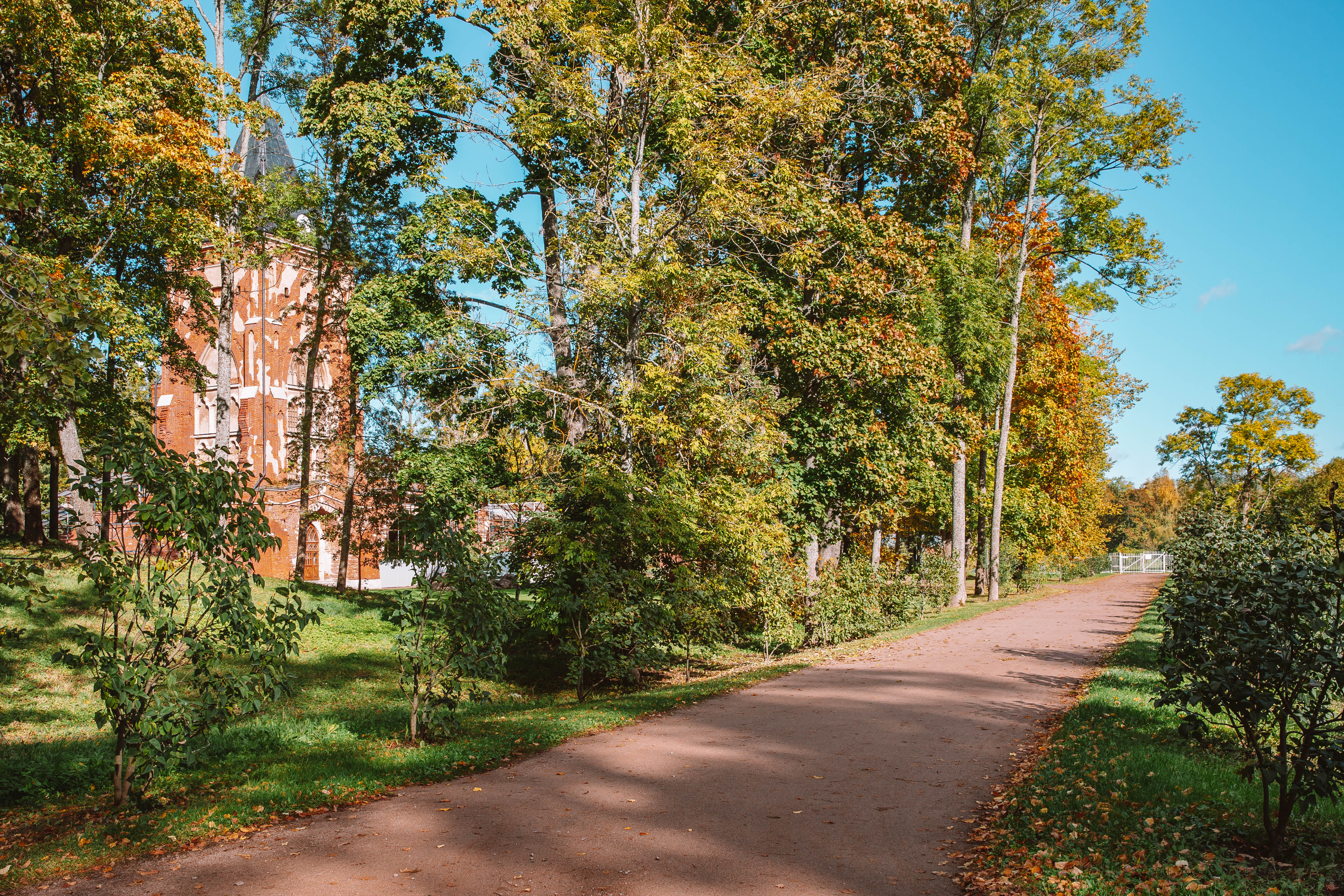 Обновленный царскосельский Александровский парк ждет романтичных любителей прогулок6
