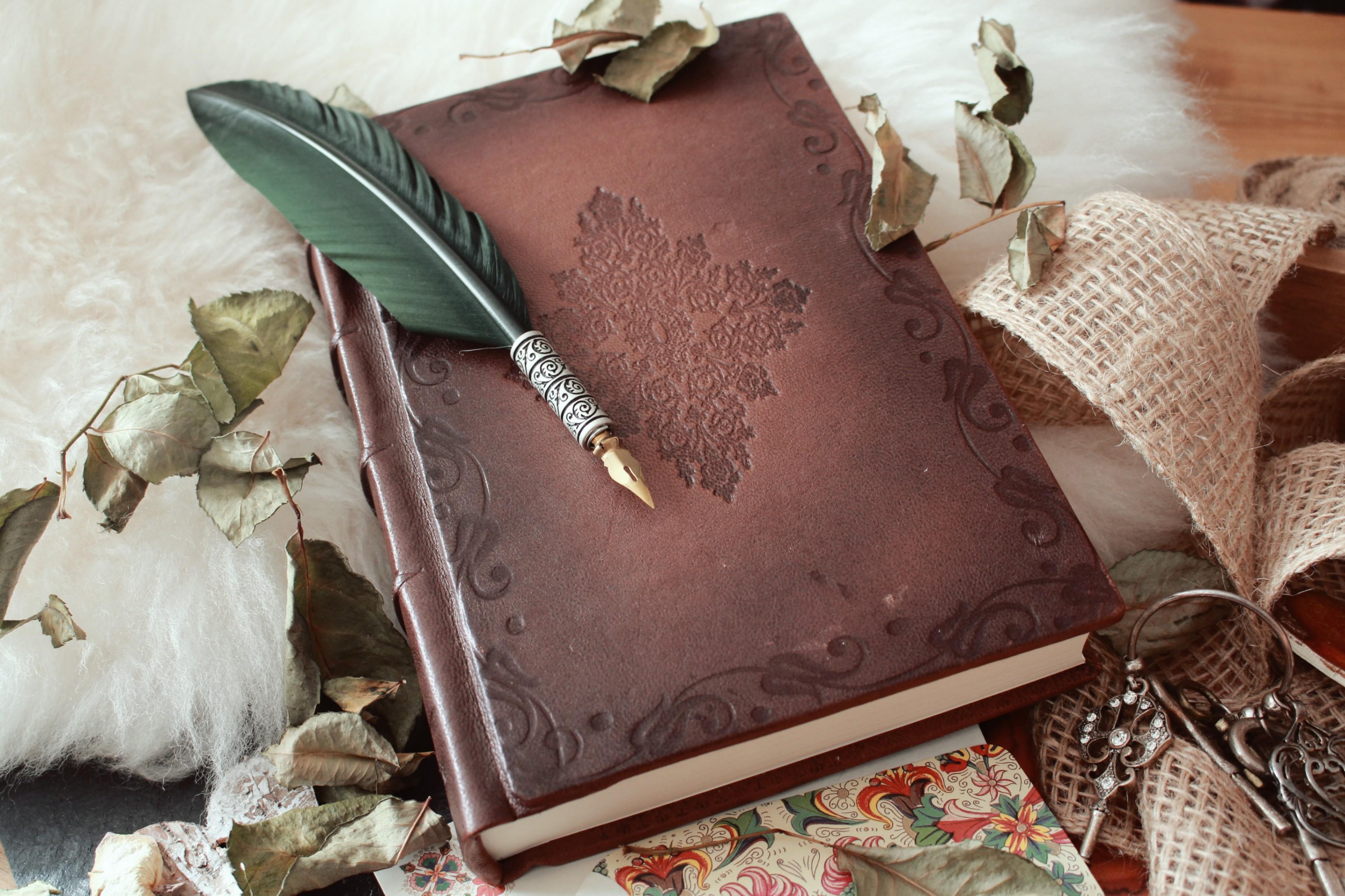 https://ru.freepik.com/free-photo/high-angle-shot-of-a-quill-pen-on-an-old-book-covered-with-dried-flower-petals_10303312.htm#&position=38&from_view=search&track=ais&uuid=60b56113-3cf1-4a5c-b67f-3cf9c9f0f870