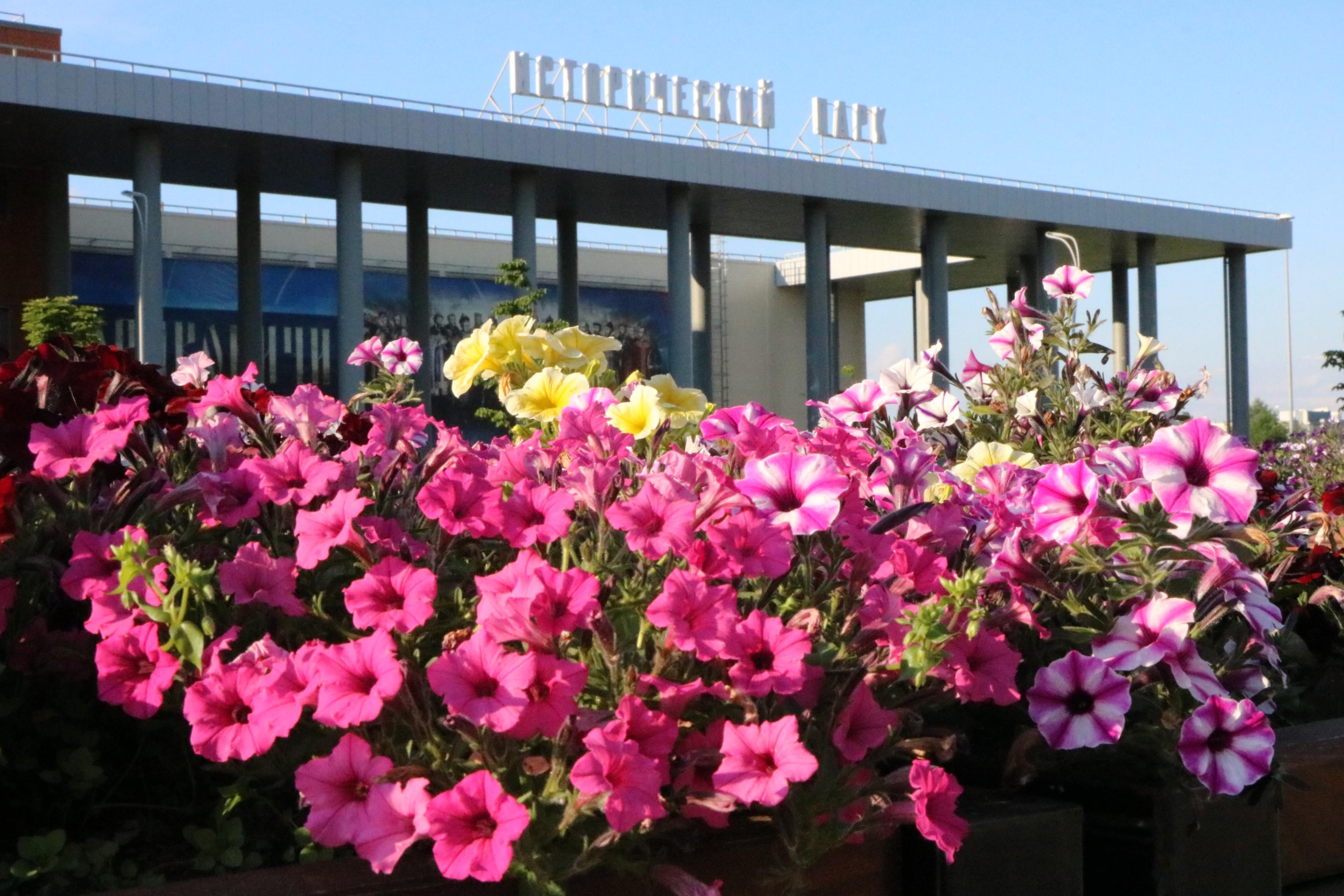 Пресс-служба музейно-выставочного центра "Россия - Моя история" (Санкт-Петербург)