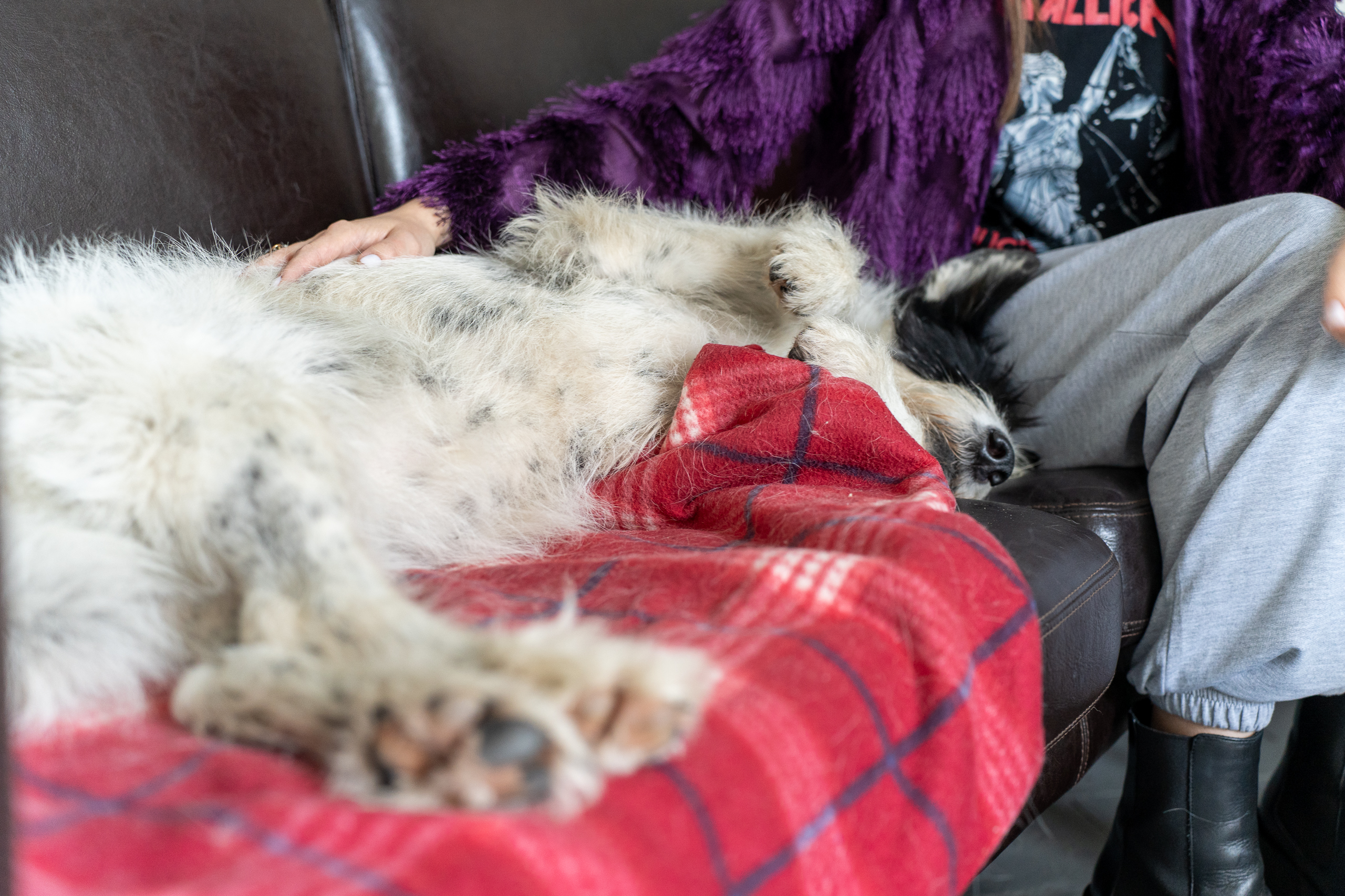 Тур по мастерским: Максим Савва1