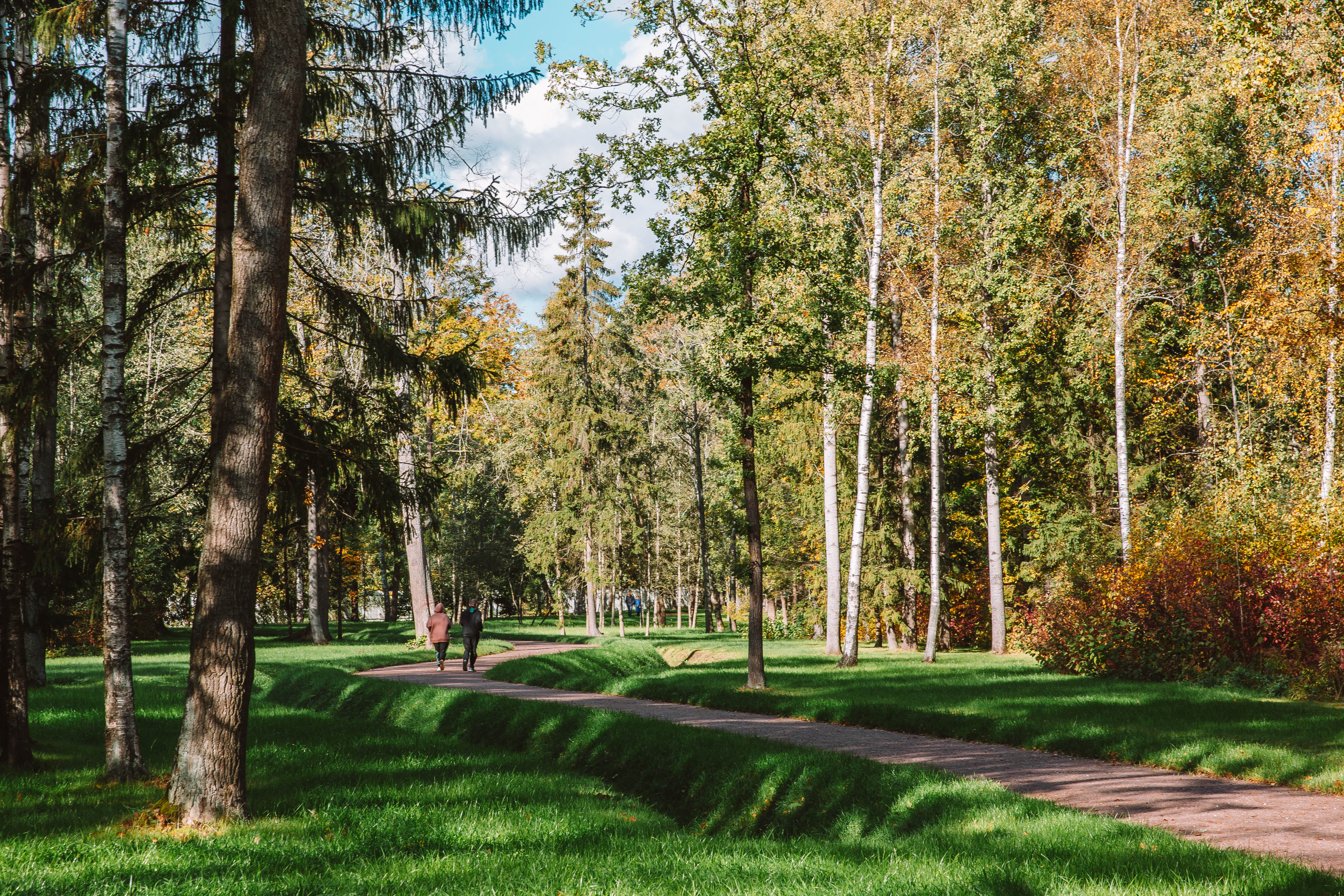 Обновленный царскосельский Александровский парк ждет романтичных любителей прогулок4