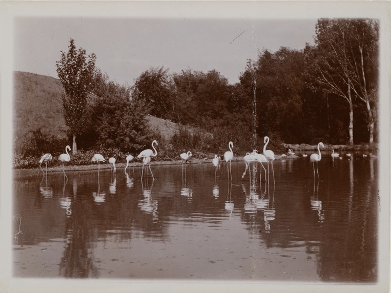 «Аскания-Нова. Письма из земного рая» - выставка в РОСФОТО2