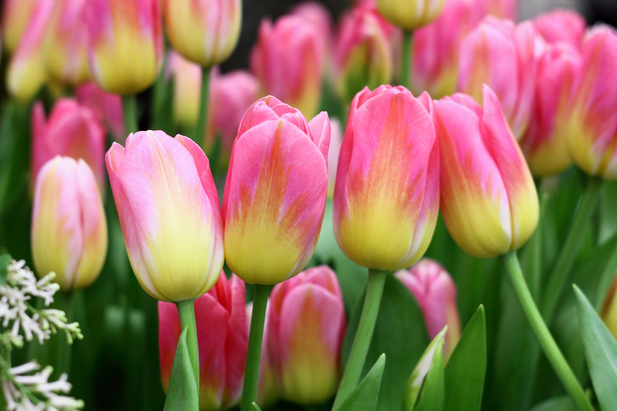 Свидание в Петербурге: куда пойти вдвоём с 27 февраля по 1 марта 2026 года6