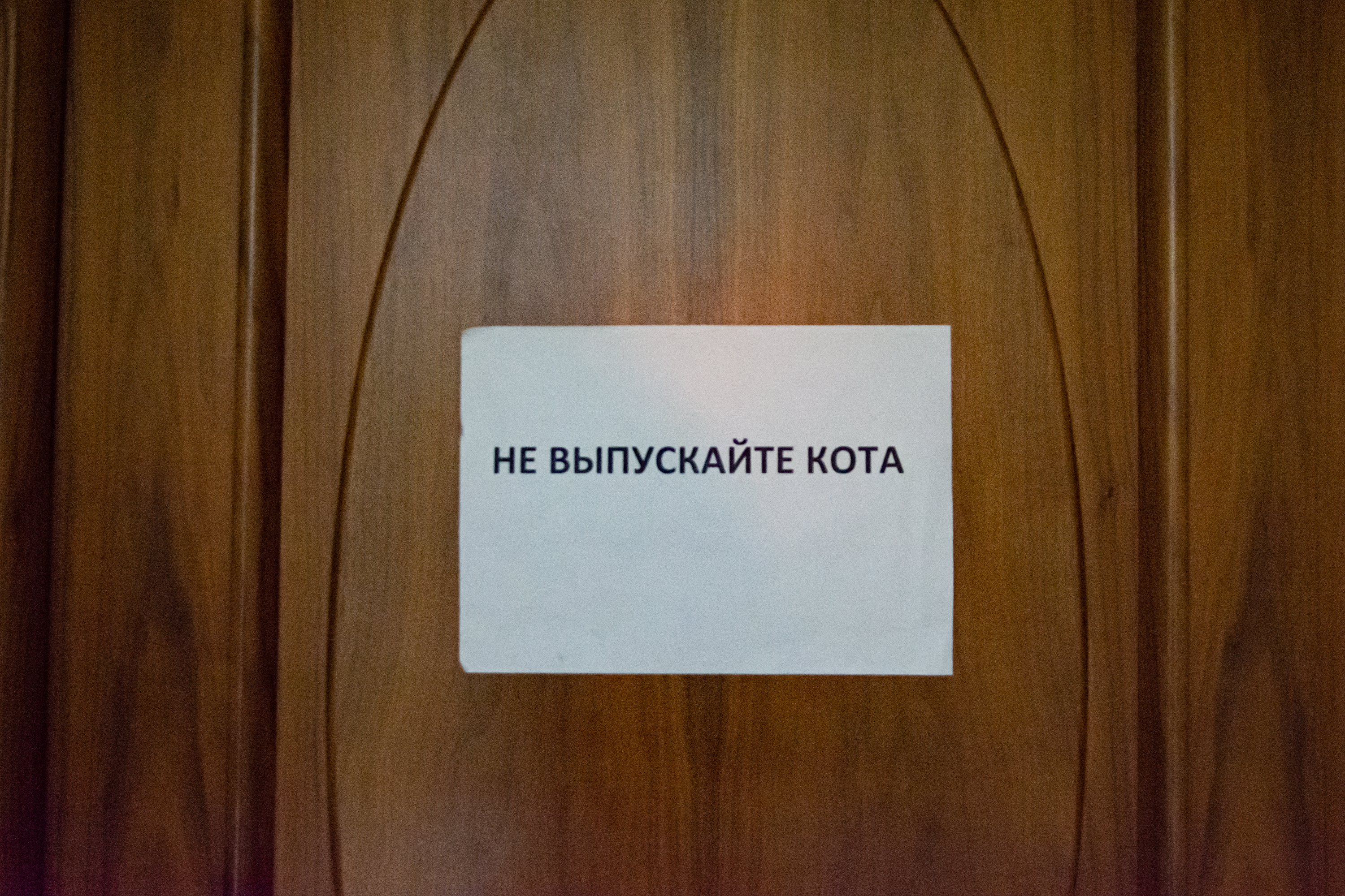 Проход за кулисы разрешен!1