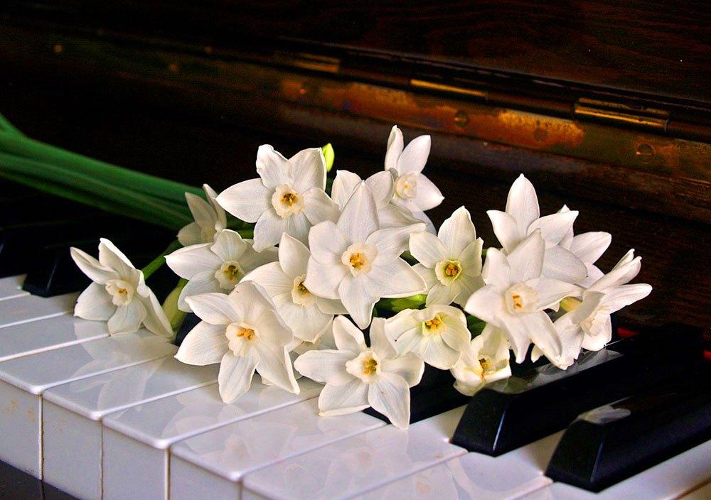 https://aprel-saratov.ru/news/tpost/k2j3kfmv51-muzikalnaya-podderzhka-rastenii https://aprel-saratov.ru/news/tpost/k2j3kfmv51-muzikalnaya-podderzhka-rastenii