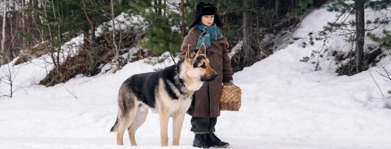 Обложка: Фильм «Трезорка» расскажет историю собаки в годы блокады