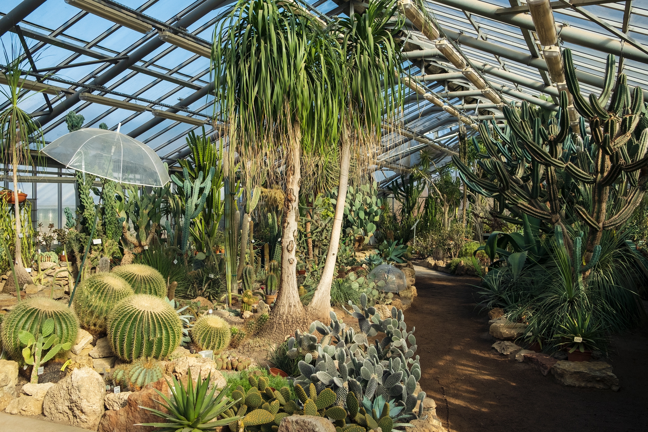 «Блокадная повесть Ботанического сада» расскажет о подвиге садоводов2