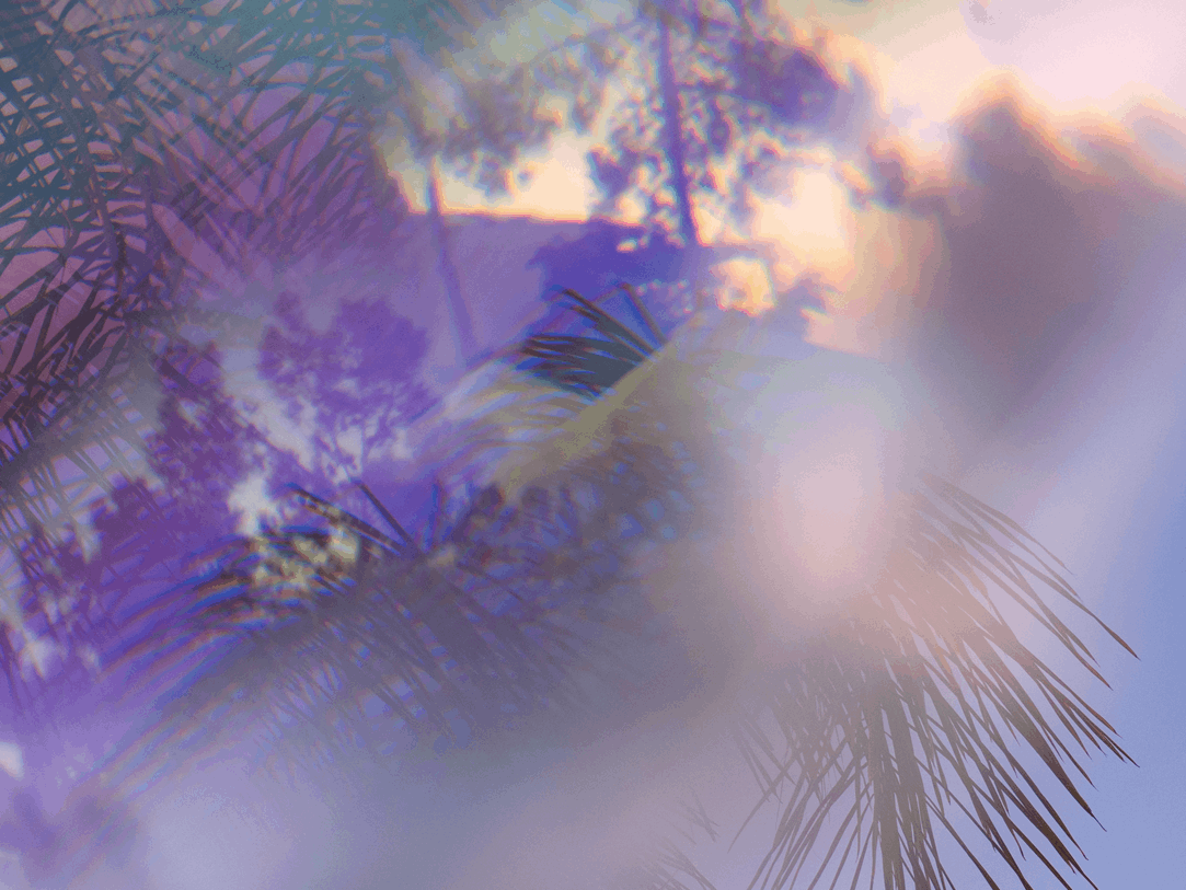 Архив автора