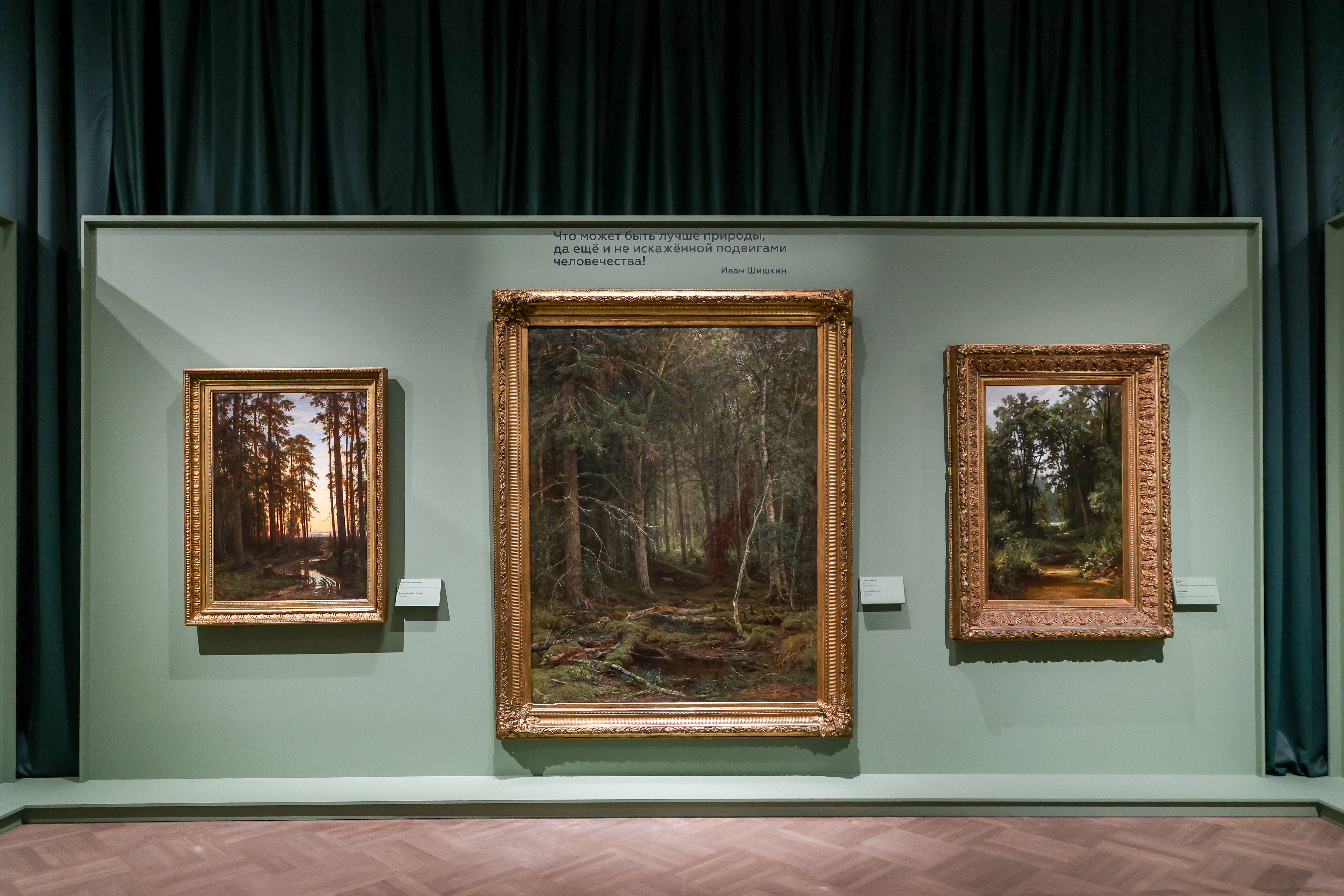 Русский музей отметил день рождения выставкой «Иван Шишкин. Русский лес»3