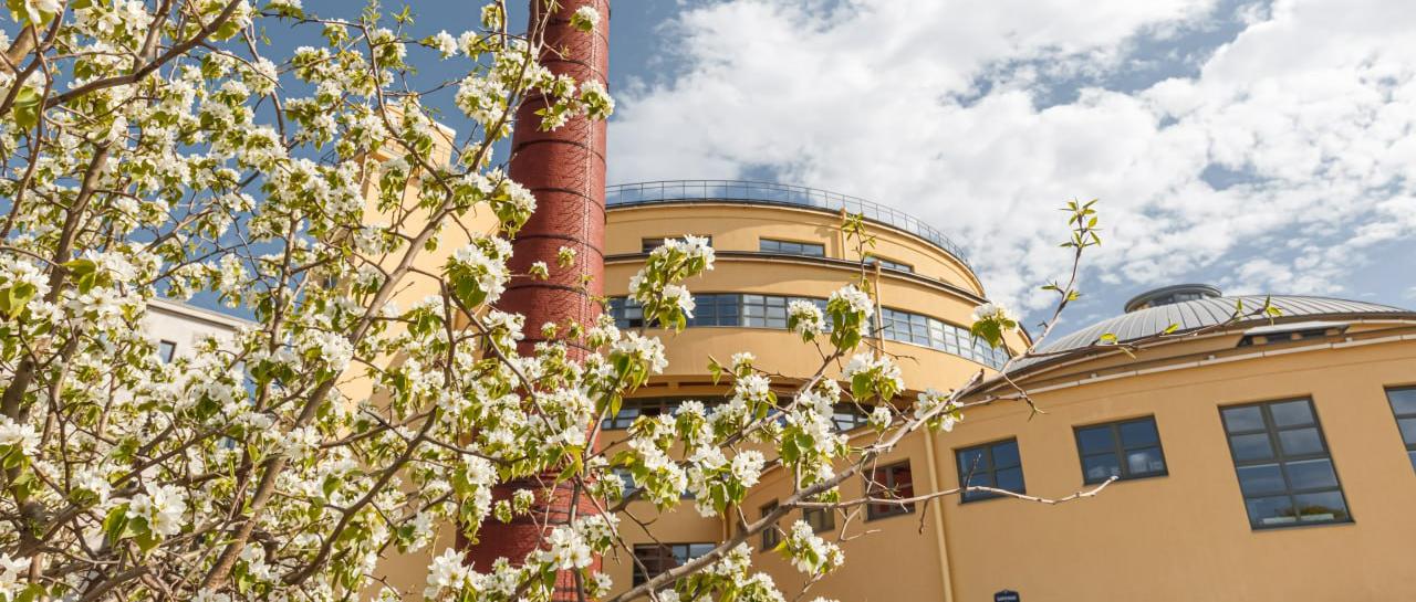 Правообладатель фото: Пресс-служба PR-агентства «Пресс-Папье».