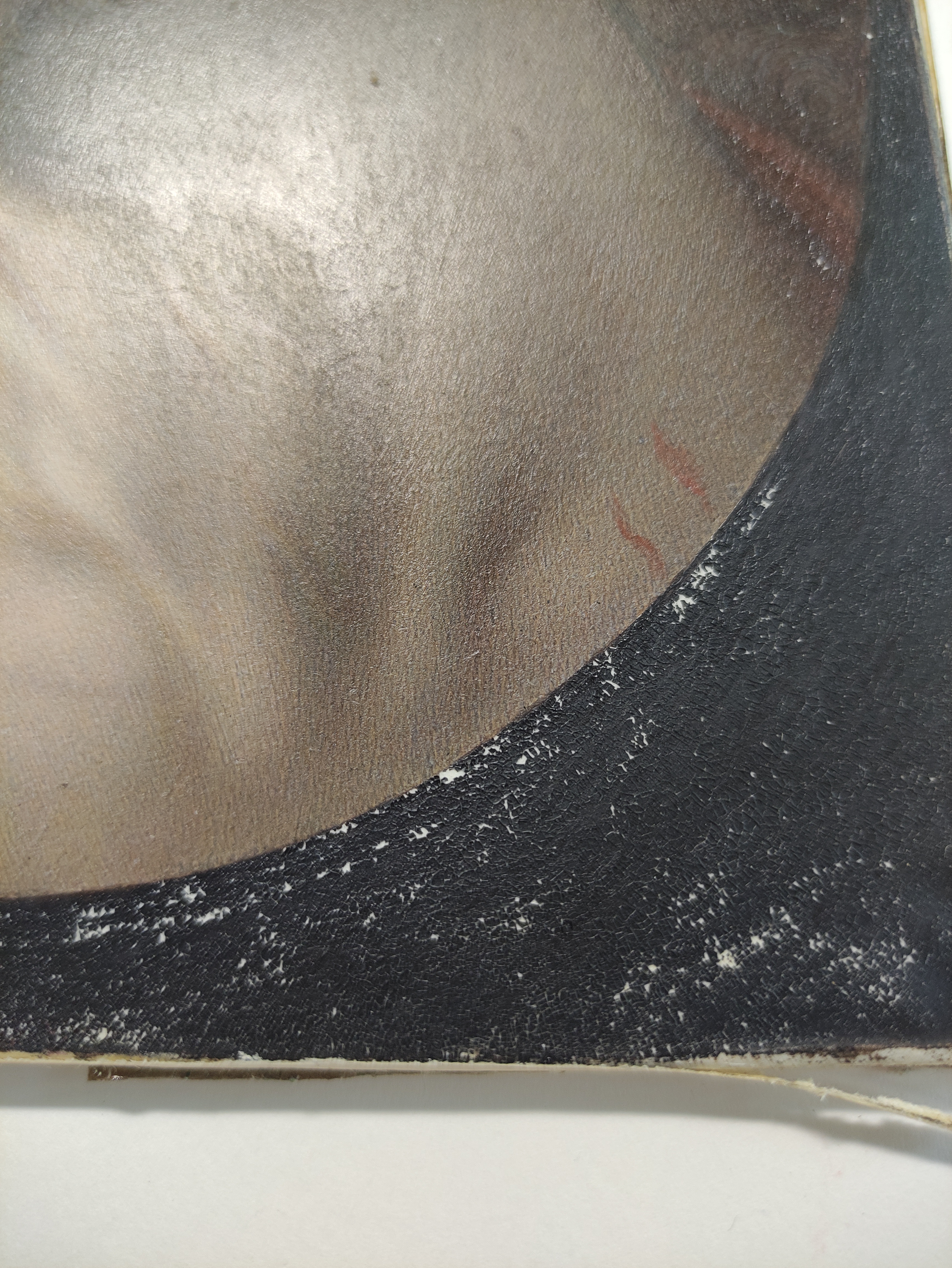 Для реставрации музейных шедевров Павловска применили клей из японских водорослей фунори14