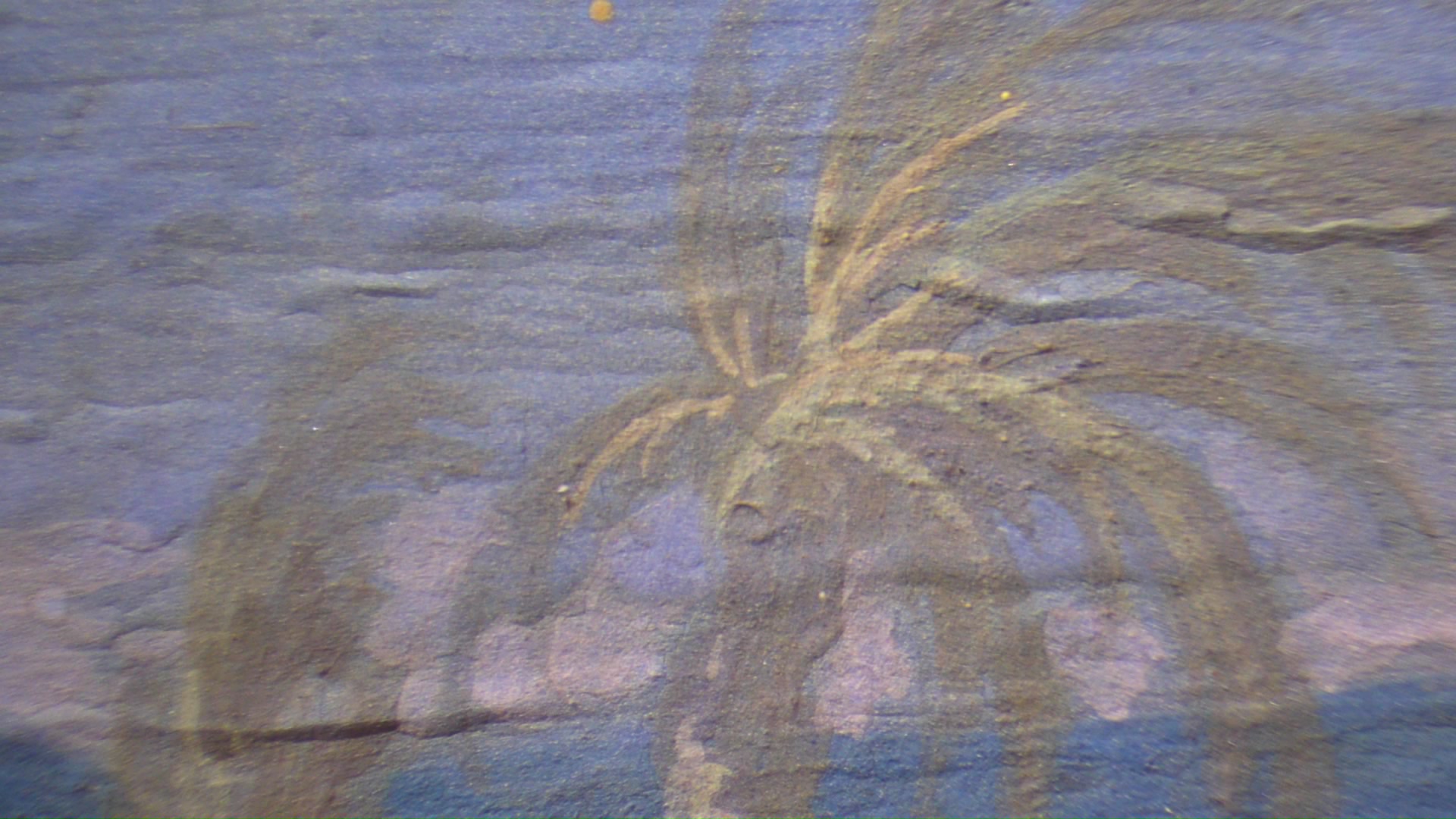 Для реставрации музейных шедевров Павловска применили клей из японских водорослей фунори10