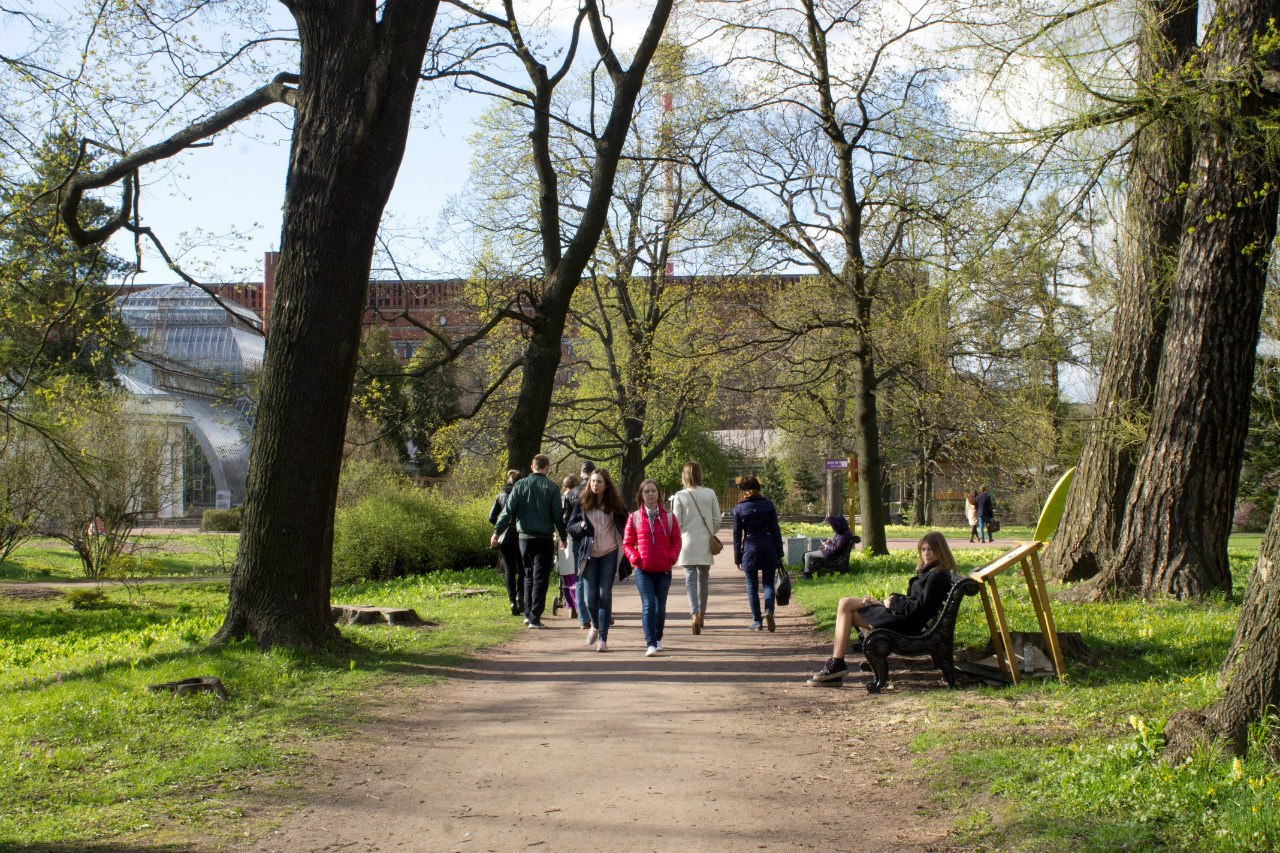 Ботанический сад Петра Великого 26