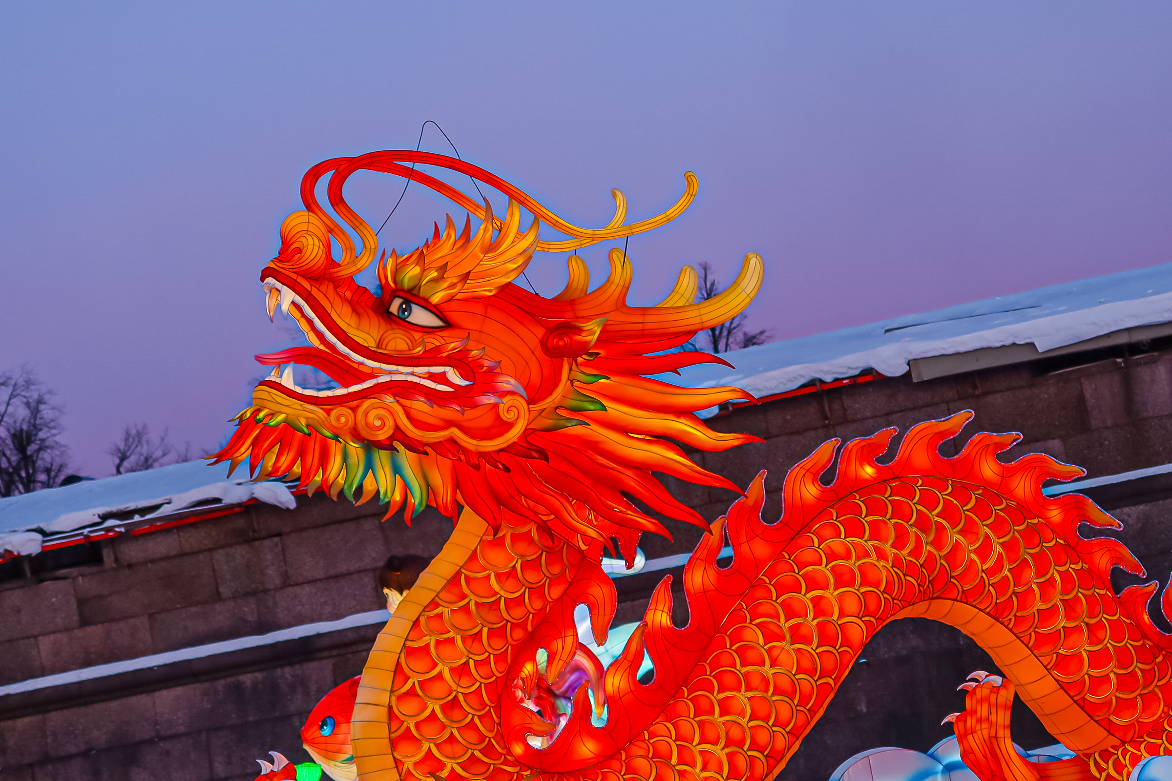 Драконы и фениксы из Цзыгуна поселились на Заячьем острове16