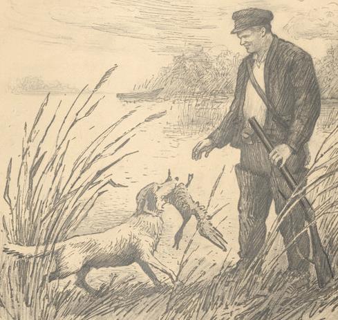 «В нашей квартире собаки и кот» - выставка в Музее Кирова