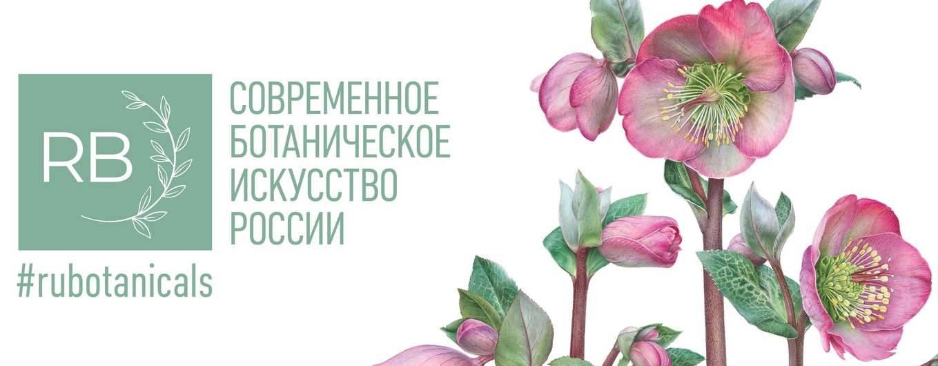 МЦБС им. М.Ю. Лермонтова МЦБС им. М.Ю. Лермонтова