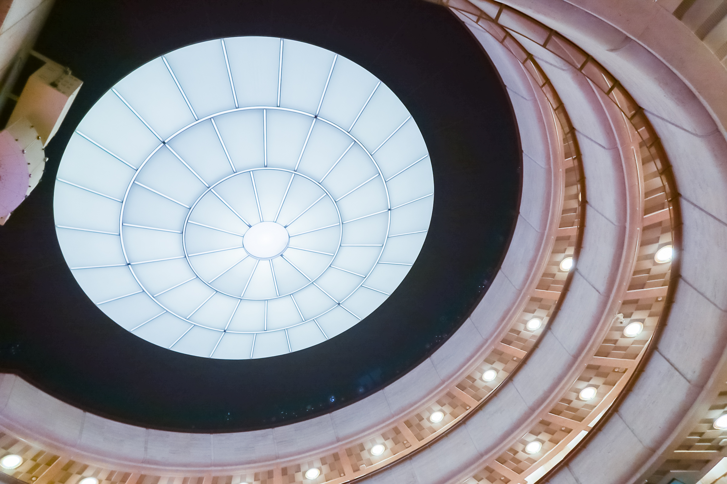 «При подготовке шоу ни один ушастый не пострадал»1