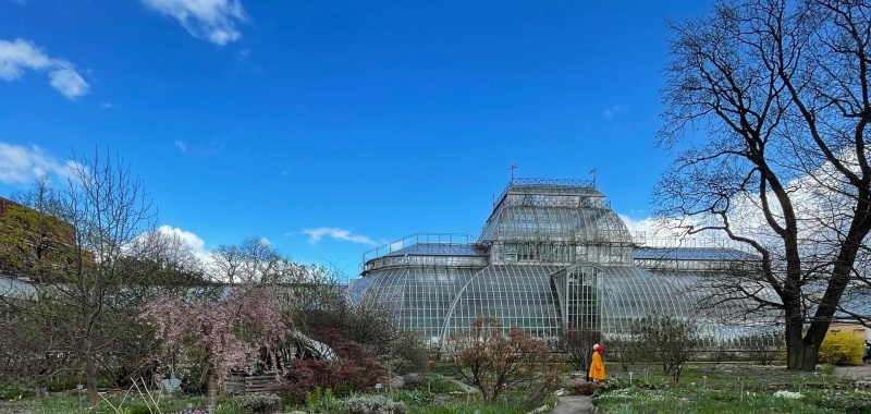 Обложка: В Ботаническом саду откроют тайны весеннего королевства 