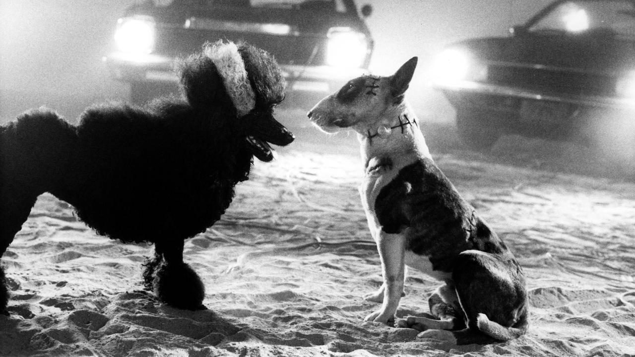 кадр из фильма