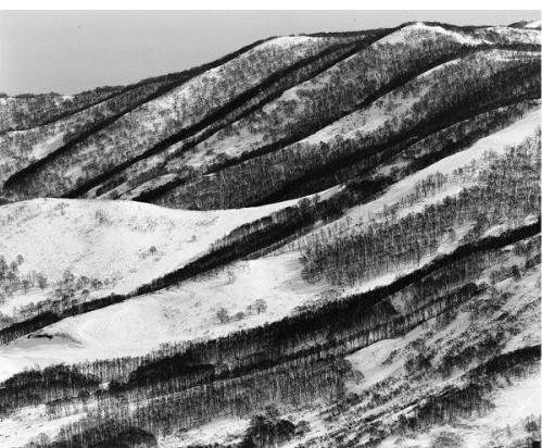 «Зимняя симфония Камчатки» напомнит о хрупкости природы в Арт от Фото