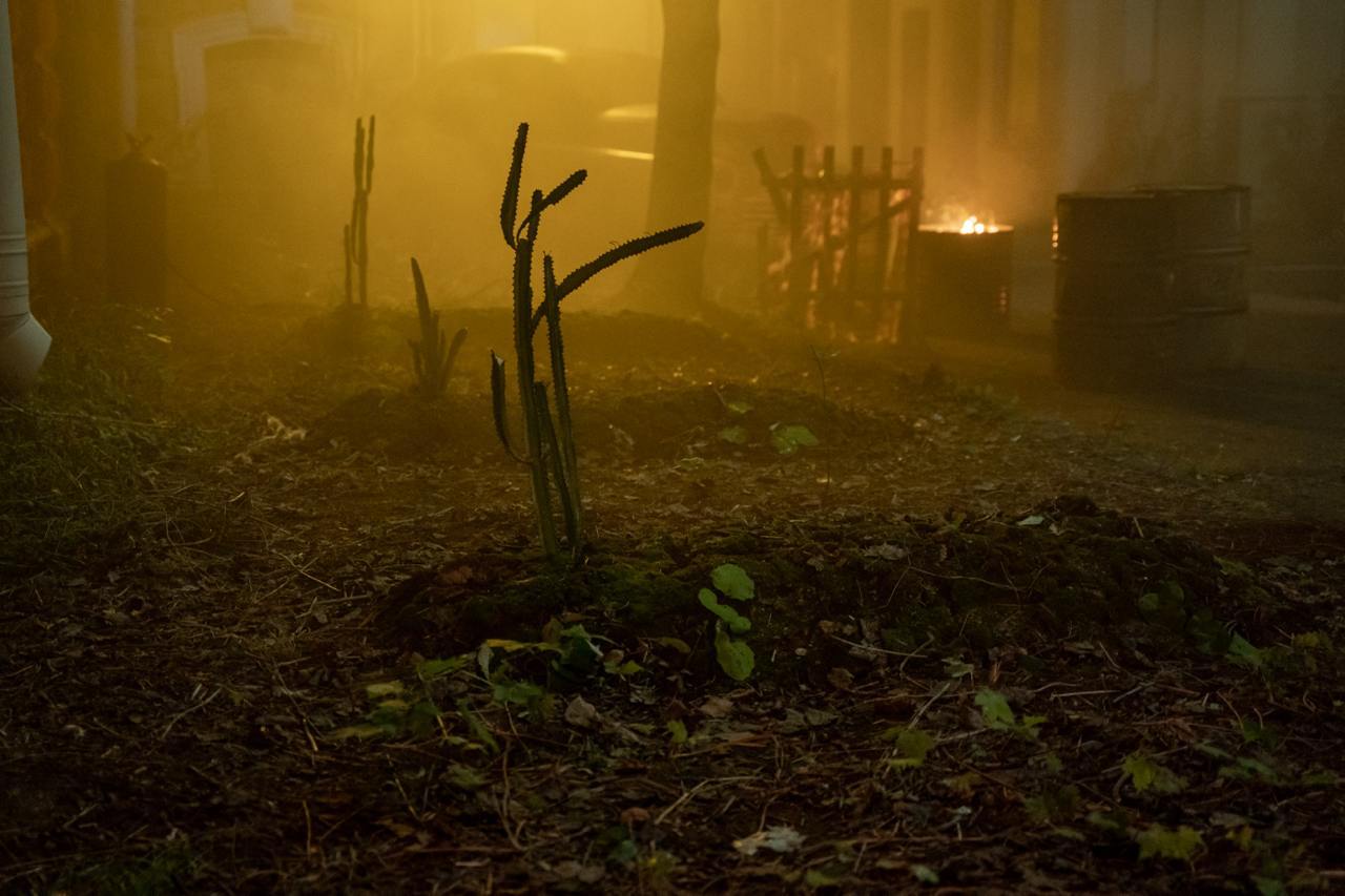 В Петербурге стартовали съемки третьего сезона сериала «Метод» 4