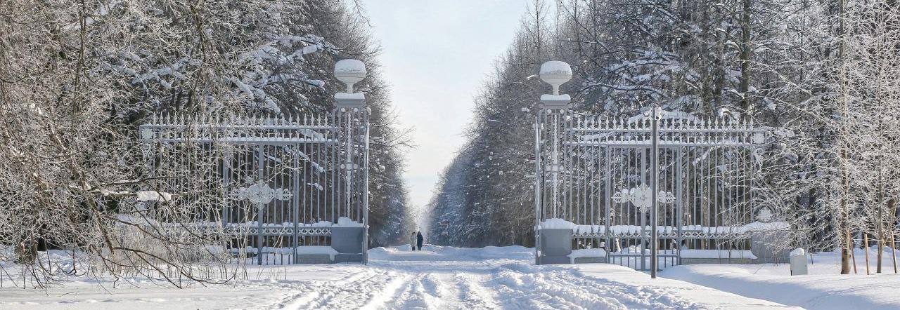 Обложка: В Павловск вернулись Этюпские ворота.