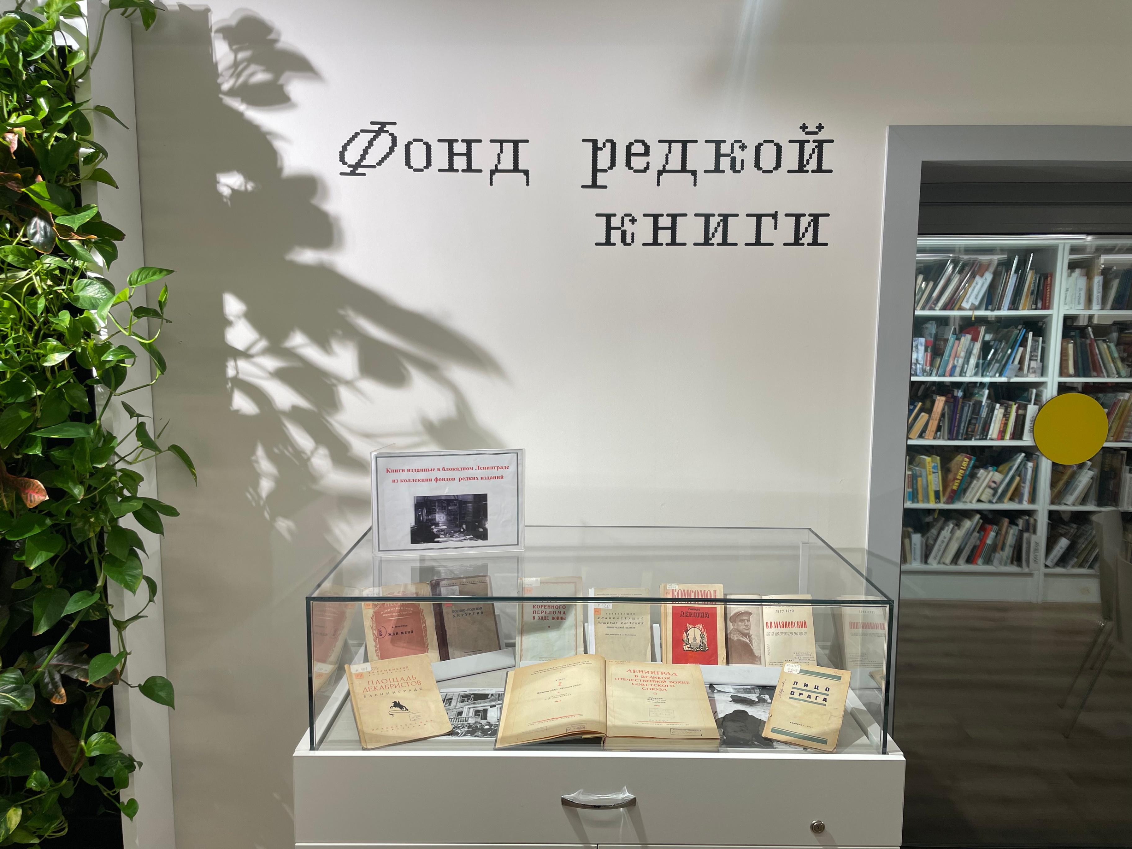 Укиметова Екатерина