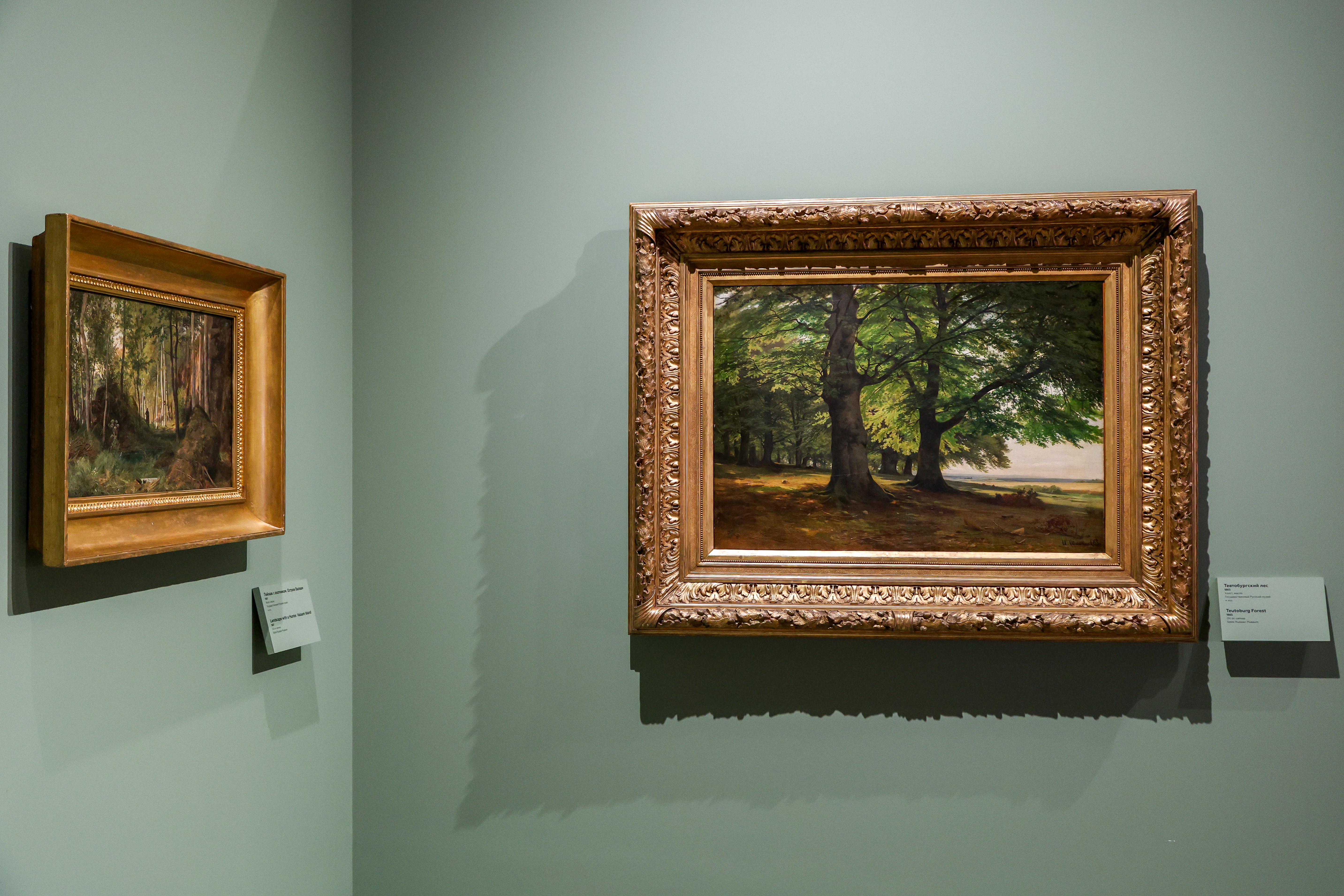 Русский музей отметил день рождения выставкой «Иван Шишкин. Русский лес»4