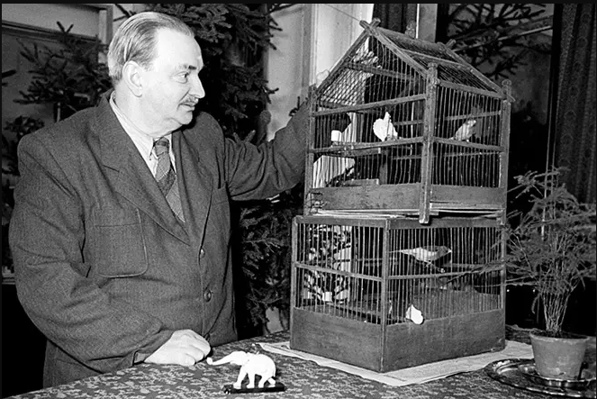 Фото обложки: mybyki.ru