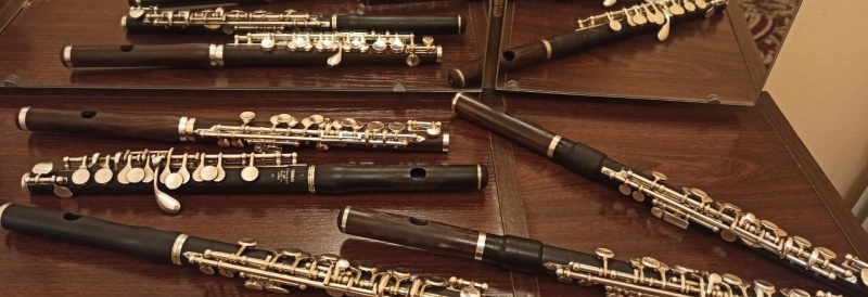 Международный фестиваль «Флейта-Пикколо» 2023. Фото заставки: vk.com/flute_piccolo Международный фестиваль «Флейта-Пикколо» 2023. Фото заставки: vk.com/flute_piccolo