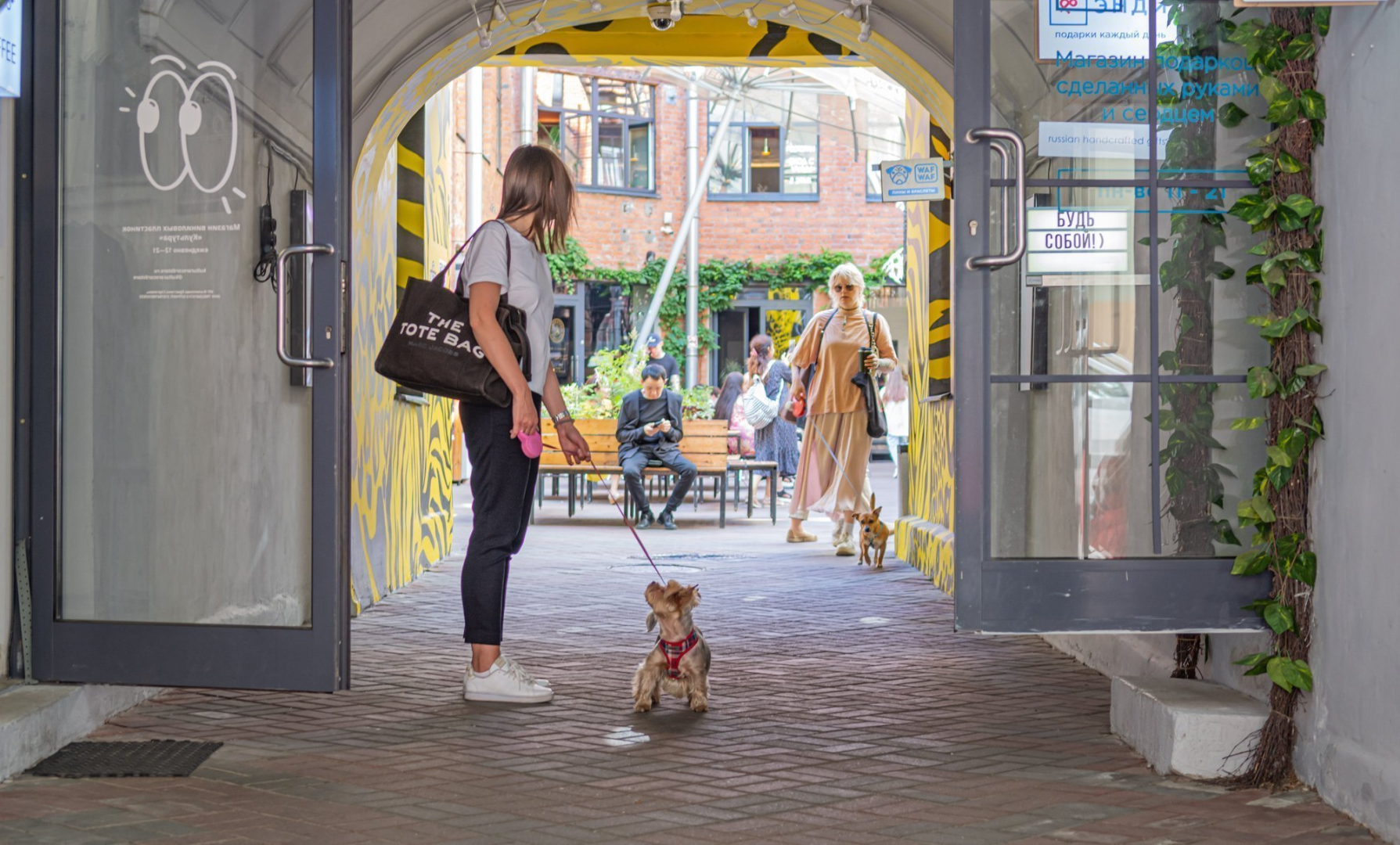 Культурный dog-friendly: пустить, нельзя оставить