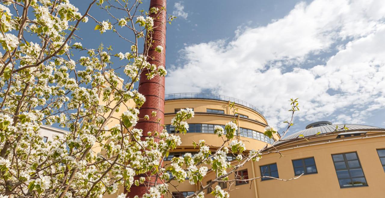 «Танцплощадка Победы» откроется у Левашовского хлебозавода  