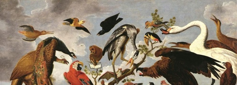 Обложка: «Класс зверей и птиц, цветов и плодов. Академические классы XVIII века», Музея Академии художеств