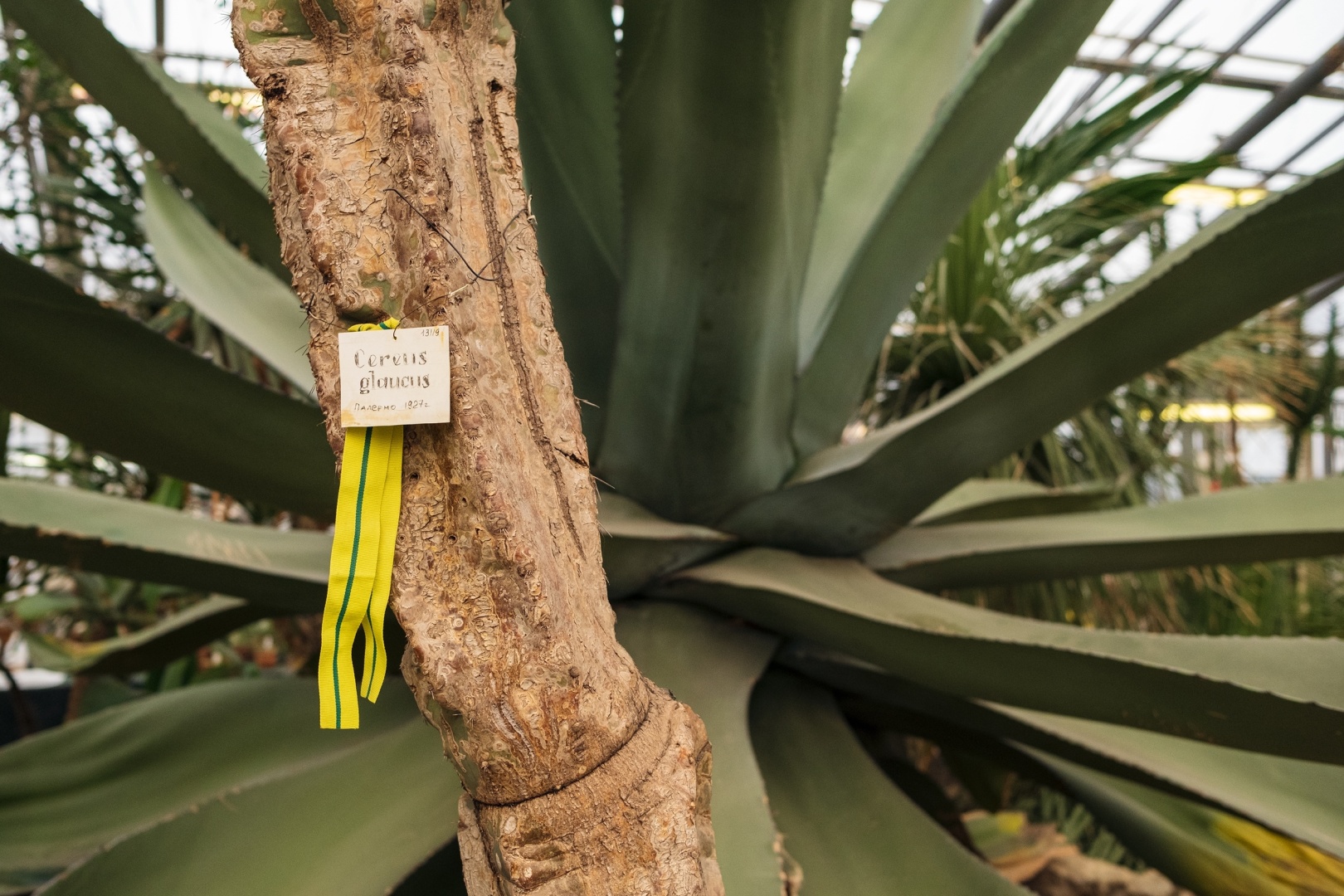 «Блокадная повесть Ботанического сада» расскажет о подвиге садоводов