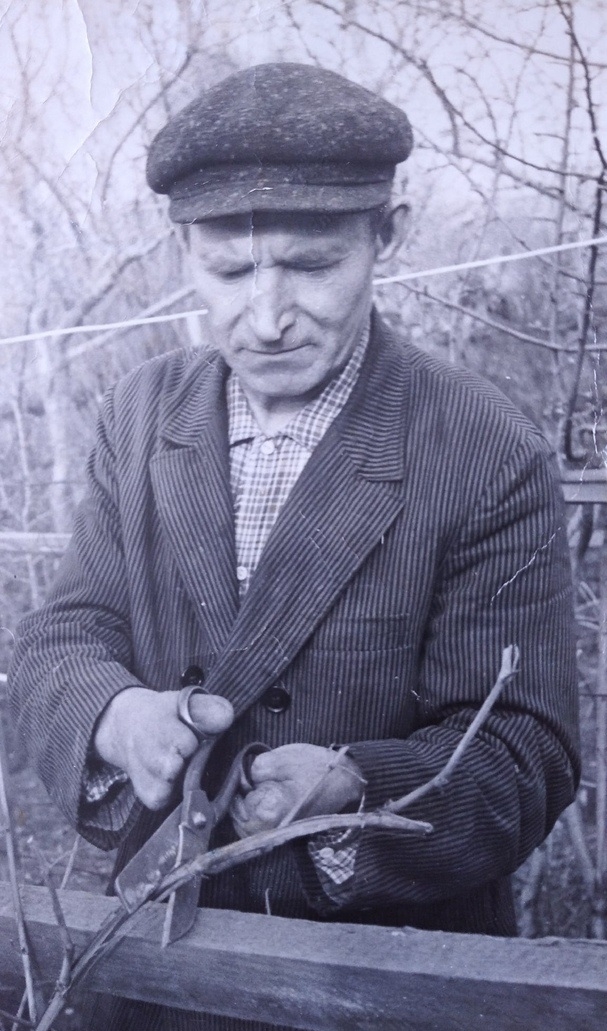 «Военная история моей семьи. Реликвия»: медали и ордена Ефима Чайки2