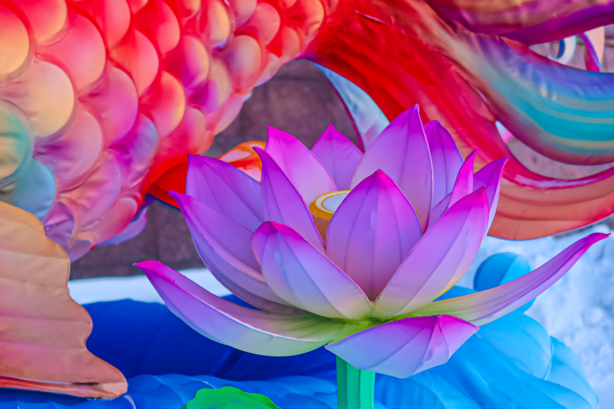 Драконы и фениксы из Цзыгуна поселились на Заячьем острове29