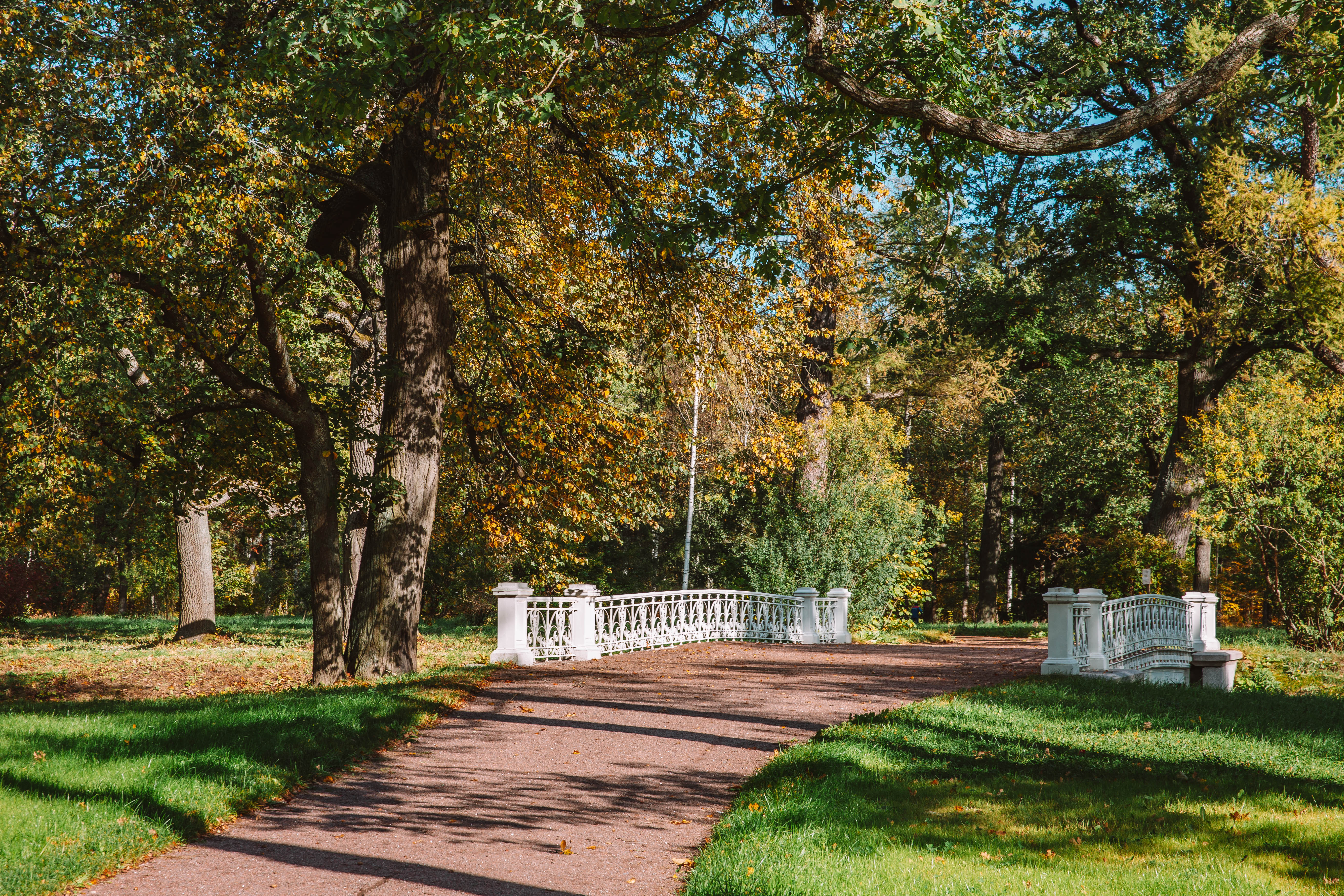 Обновленный царскосельский Александровский парк ждет романтичных любителей прогулок5