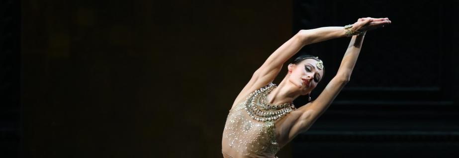 Правообладатель фото: mikhailovsky.ru