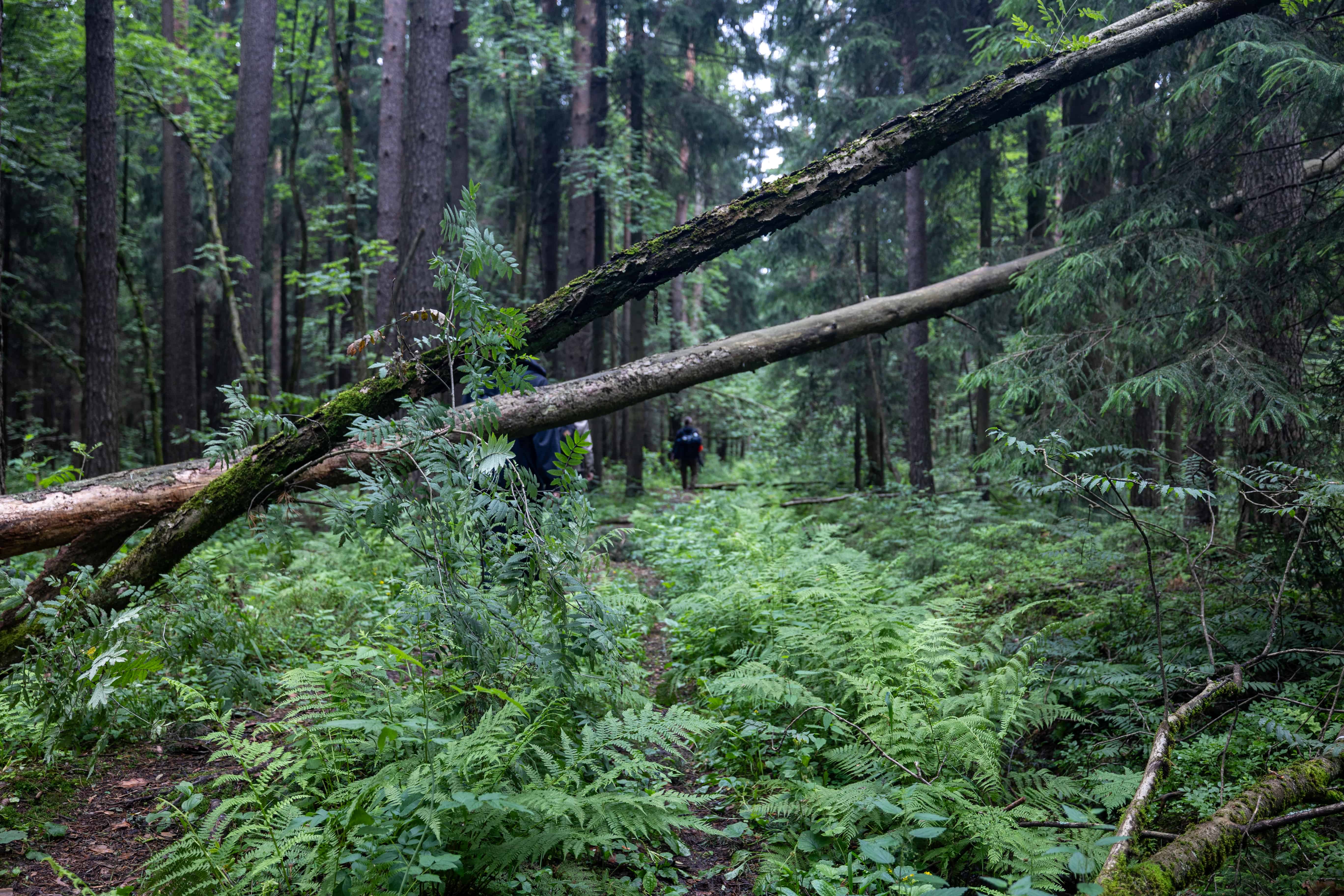 «НОТА» предложит по-новому взглянуть на краеведение  5