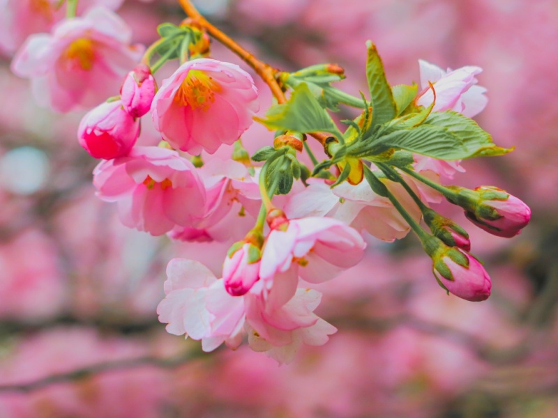 Бесплатные мероприятия в Санкт-Петербурге: 24 февраля - 9 марта 2026