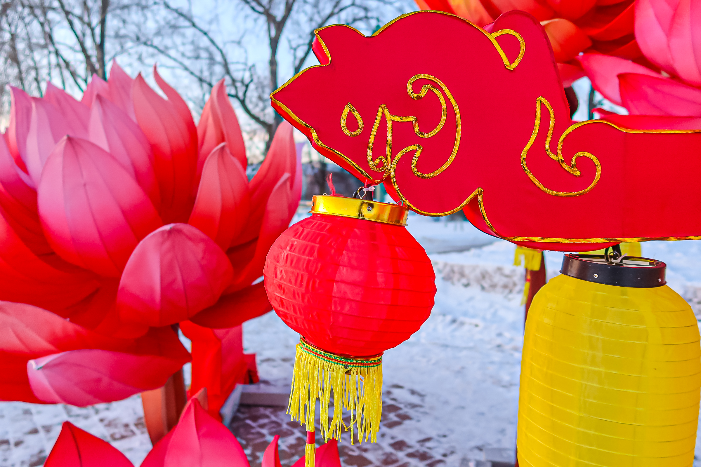 Драконы и фениксы из Цзыгуна поселились на Заячьем острове9