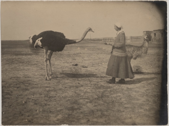 «Аскания-Нова. Письма из земного рая» - выставка в РОСФОТО1